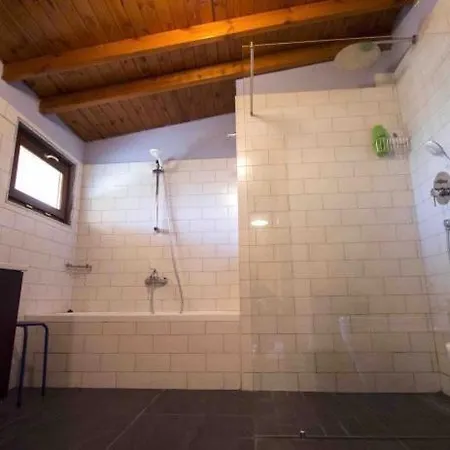 Experience At The New Bazaar * Tirana