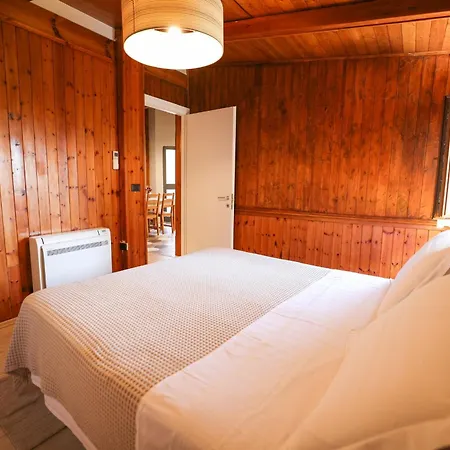 Experience At The New Bazaar * Tirana